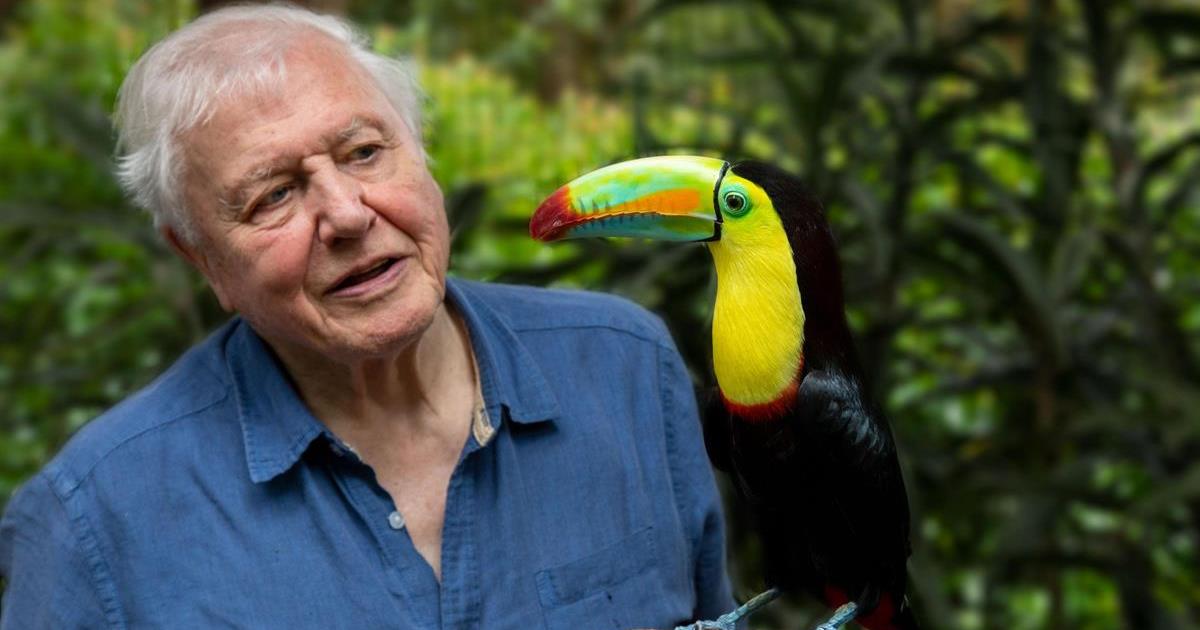 David Attenborough filming “Life in Color with David Attenborough” in Costa Rica. Cr: BBC/Netflix