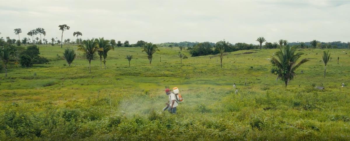 Farmers spread pesticides in farmland carved out of the Amazon rainforest. Cr: National Geographic/Amazon Land Documentary