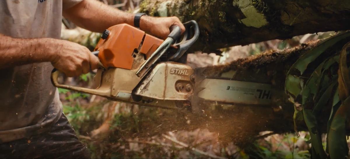 A chainsaw rips into the Amazon rainforest. Cr: National Geographic/Amazon Land Documentary