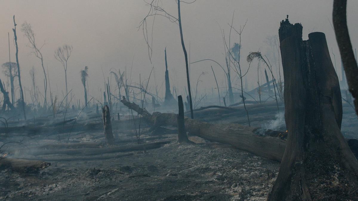 The scorched remnants of the Amazon rainforest after a blaze set by farmers tore through the land. Cr: Alex Pritz/Amazon Land Documentary