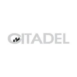 Citadel Security Agency